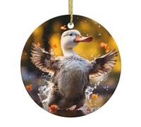 Whjssf Magnifique motif canard dansant - Décoration circulaire en céramique - Décoration de supermarché - Fête de Noël - Maison