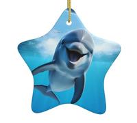 WHJSSF Pendentif en forme d'étoile en céramique Motif dauphin qui vous regarde, trous soigneusement percés, corde en métal