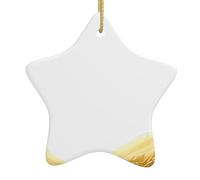 WHJSSF Pendentif en forme d'étoile en céramique Motif vagues de blé soigneusement percées