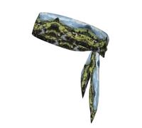 WHJWXC Bandeau de sport avec motif vache de la ferme alpine, bandeau pour homme et femme, bandeau pour le yoga et le fitness