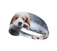 WHJWXC Un bandeau élastique pour homme et femme avec impression chien endormi, bandeau pour le yoga et le fitness