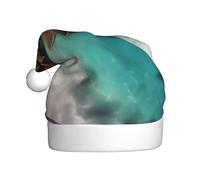 WHJWZY Chapeau de Noël pour adulte - Accessoire festif | Halloween, cérémonies annuelles, fêtes de fin d'année, îles des Caraïbes imprimé
