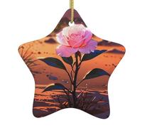 WHJWZY Pendentif de Noël en céramique en forme d'étoile à suspendre pour sapin - Idéal pour les maisons - Fête de vacances - Motif rose du désert