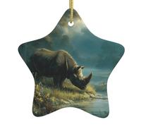WHJWZY Pendentif de Noël en céramique en forme d'étoile à suspendre pour sapin - Idéal pour les maisons - Décoration de fête de vacances rhinocéros sur la rive de la rivière