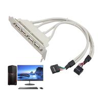 Whnbuij Câble d'extension USB 2.0 pour carte mère - 4 ports - Extension multi-limites pour une connexion à grande vitesse - 30 cm de long