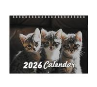 Whnbuij Calendrier mural mensuel avec papier amusant pour dortoir, famille, , collège, école, appartement, enseignants, chambre à coucher, cuisine, étudiants, éducateurs