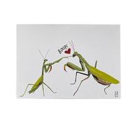 Whnbuij Carte de Saint-Valentin avec message de blague drôle pour cadeau | Carte de proposition d'excuses Love Surprise, article cadeau spécial pour partenaire, mari, fiancée, épouse