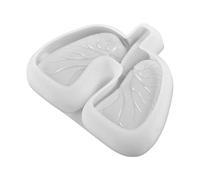 Whnbuij Moule en Silicone pour cendrier - Moule léger en résine pour cendrier | Moules en Silicone pour Moulage de résine, résine époxy, récipients de Rangement, décoration de Table