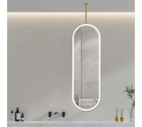 Whnoorher Miroir de Plafond décoratif Ovale à LED avec Cadre en métal, idéal pour la Salle de Bain, la Douche, Éclairage à 3 Couleurs et intensité Variable. Couleurs dorées.(40cmx60cm)