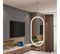 Whnoorher Miroir Ovale doré à LED, Suspendu au Plafond, avec écran Tactile et miroirs en Verre HD, idéal pour Les hôtels, Salons, entrées et la décoration intérieure.(40cmx60cm)