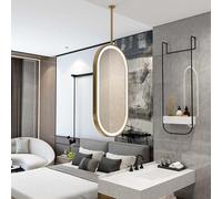 Whnoorher Miroir Ovale Suspendu au Plafond pour Chambre, Miroir Tactile LED avec variateur/Interrupteur Tactile pour Maquillage et Rasage, miroirs Flottant pour Salle de Bain, doré(40cmx60cm)