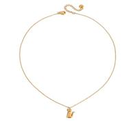 Whoasyst Bijou unique en forme de chat et de chien, léger et confortable, élégant chaîne clavicule pour un port prolongé, collier en acier inoxydable pour animal domestique, One Size, Comme décrit