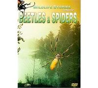 Whole Story, The: Beetles And Spiders G