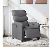 WHOPBXGAD Electric Recliner Chair, Power Lift Recliner with Massage and Heat, Adjustable Footrest, Soft Fabric Upholstery, Grey Reclining Chair for Living Room, Bedroom, Home Theater, Max Load 110kg