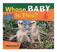 Whose Baby Is This? Wayne Lynch (Auteur)