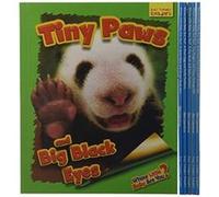 Whose Little Baby Are You 6book set by Ellen Lawrence Ellen Lawrence (Auteur)