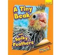 Whose Little Baby Are You A Tiny Beak and Spiky Feathers by Ellen Lawrence Ellen Lawrence (Auteur)