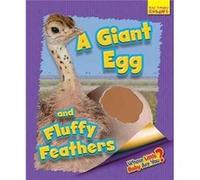 Whose Little Baby are You? Lawrence, Ellen (Auteur)