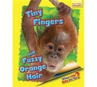 Whose Little Baby are You? Lawrence, Ellen (Auteur)