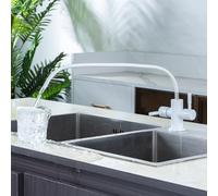 WHSY127 ° Rotating Kitchen Faucet Single Cold Water Filter Tap with Dual Lever for Kitchens Aqiong Beautiful