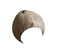 Whtkoph Cachette pour Reptiles en Forme D'ermite, Décoration D'aquarium, Trou dans Une Coquille de Noix avec Une Ouverture