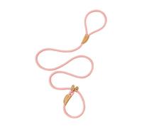 Whtkoph Laisse pour Chien, Laisse D'éducation Portable pour Chiots de Petite et Moyenne Taille, Laisse Coulissante Réglable, pour Une Utilisation dans Le, Rose