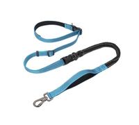 Whtkoph Laisse Réfléchissante Multifonction Laisse Laisse Courte Double Longe avec Section Élastique et Mousqueton de Sécurité Nylon Résistant Adaptée à, Bleu Ciel, Largeur 2.5cm, Longueur 145-240cm