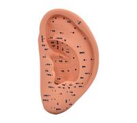 Whtkoph Modèle D'Oreille Anatomique Modèle D'Acupoints Auriculaires Simulation Oreille Dispositif En PVC Utilisé pour L'Apprentissage Scolaire Pra, 22cm