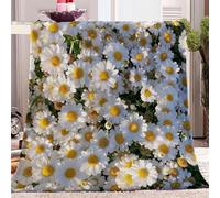 WHUOEUCO Couverture Plaid Motif Marguerite Blanche Couverture Polaire et Confortable, Couverture Canape Super Douce, Couverture Sherpa 150x200cm