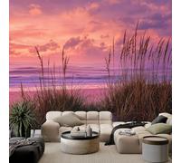 WHUOEUCO Papier Peint Coucher De Soleil Sur La Plage Paysages Magnifiques 300x210 cm Papier Peint Panoramique Effet 3D, Peinture Murale intissé Grande, pour Moderne Salon Chambre TV Fond