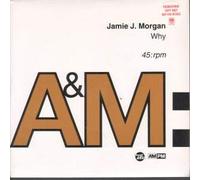 WHY 7" (45) UK ISSUE PRESSED IN FRANCE TABU 1992 RADIO EDIT B/W RADIO MIX (AM7704) PRO STICKERED PIC SLEEVE