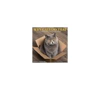 Why Cats Do That 2026 Wall Calendar