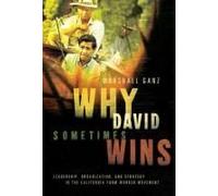 Why David Sometimes Wins