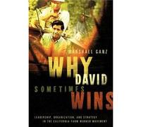 Why David Sometimes Wins by Ganz Marshall Lecturer in Public Policy Kennedy School of Government Lecturer in Public Policy Kennedy School of Government Ha Ganz Marshall Lecturer in Public Policy Kenne