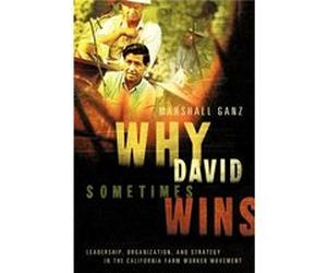 Why David Sometimes Wins by Ganz Marshall Lecturer in Public Policy Kennedy School of Government Lecturer in Public Policy Kennedy School of Government Ha Ganz Marshall Lecturer in Public Policy Kenne