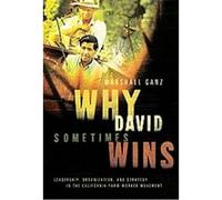 Why David Sometimes Wins Marshall Ganz (Auteur)