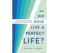 Why Did Jesus Live A Perfect Life?