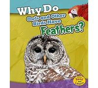 Why Do Owls And Other Birds Have Feathers?