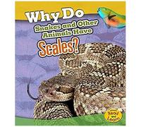 Why Do Snakes And Other Animals Have Scales?