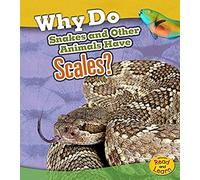 Why Do Snakes And Other Animals Have Scales?