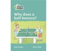 Why does a ball bounce by Sally Morgan Paperback Book Sally Morgan (Auteur)