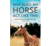 Why Does My Horse Act Like This?