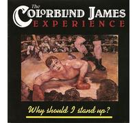 Why I Should I Stand Up by Colorblind James Experience