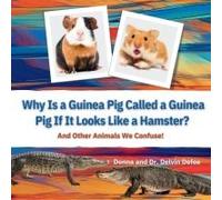 Why Is A Guinea Pig Called A Guinea Pig If It Looks Like A Hamster?