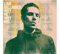 Why Me? Why Not. Vinyle