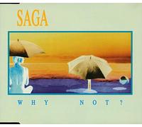Why Not (Single Edit, 1994, Plus 2 Tracks) [Import]