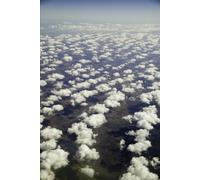 Why Saw Sawdust?: Ancient Wisdom, Modern Mindfulness and the Freedom to Begin Again