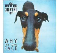 Why The Long Face [Import]