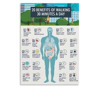 Why Walk Every Day Poster Educational Health Chart