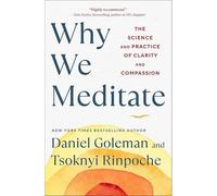 Why We Meditate